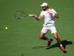 Majami: Čilić nastavlja da posrće, Dolgopolov predao